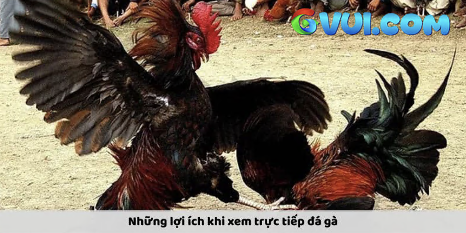 Dễ dàng cập nhật thông tin tại nhà cổng cược